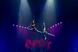 ky uc hoa than 007.jpg