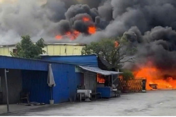 Bản tin chiều 14/12: Cháy lớn tại 4 nhà xưởng của 1 công ty giày da ở Hải Phòng