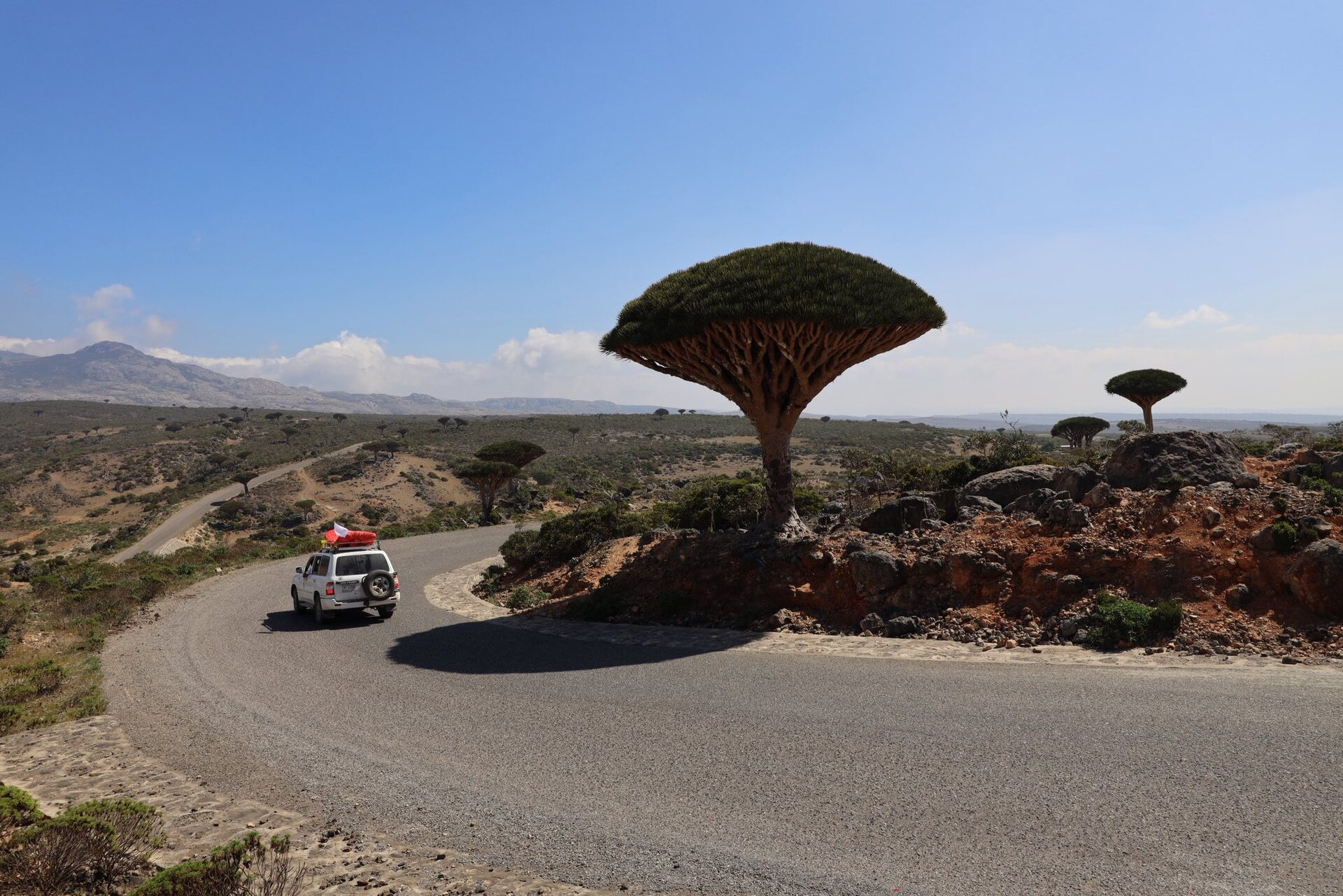 đảo socotra yemen
