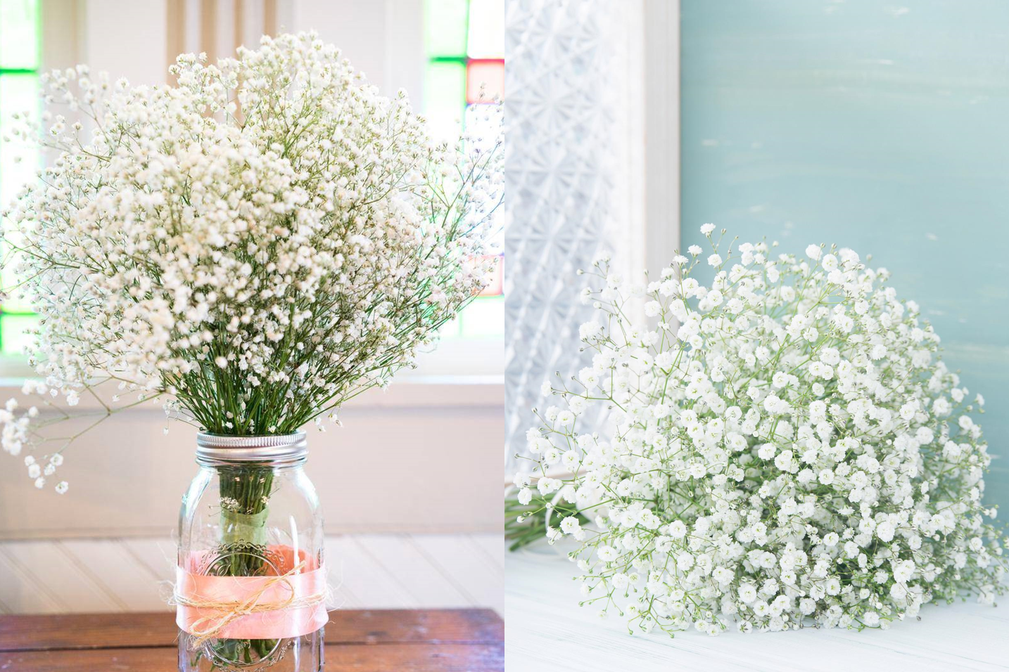 Mãn thiên tinh và ý nghĩa phong thủy: Hoa nhỏ, phúc khí lớn