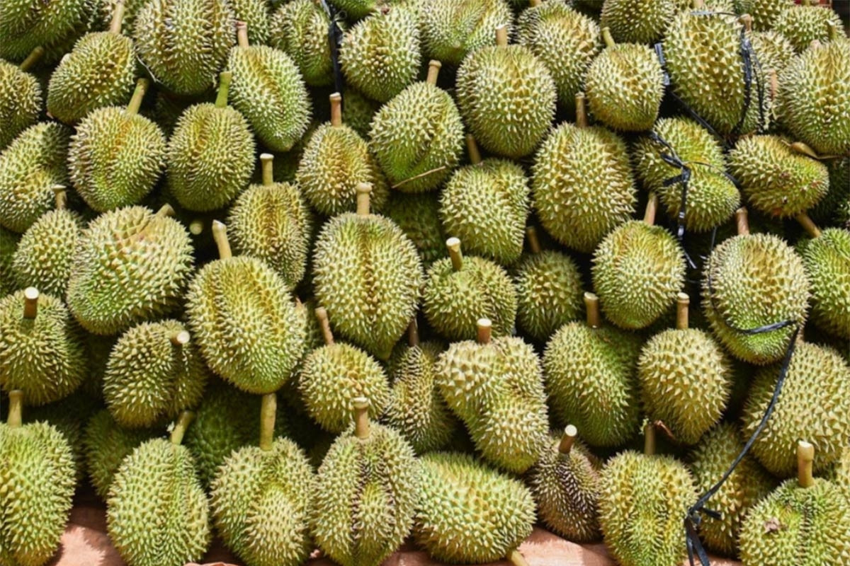 Giá sầu riêng trái vụ bất ngờ rớt mạnh, vải thiều Úc gần 5 triệu/thùng 5kg