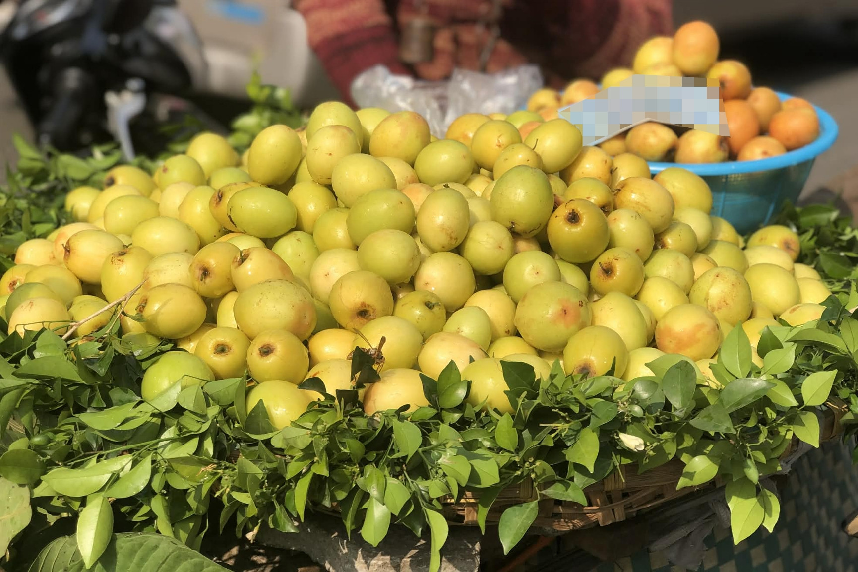 Trái cây được ca ngợi nhiều nhưng có thể gây độc với một số người