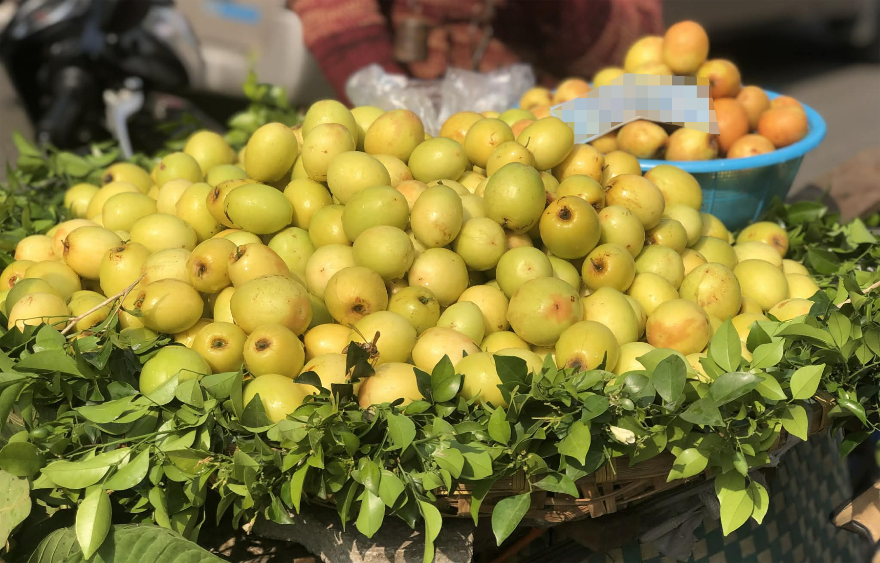 trai cay tao hoa qua.jpg