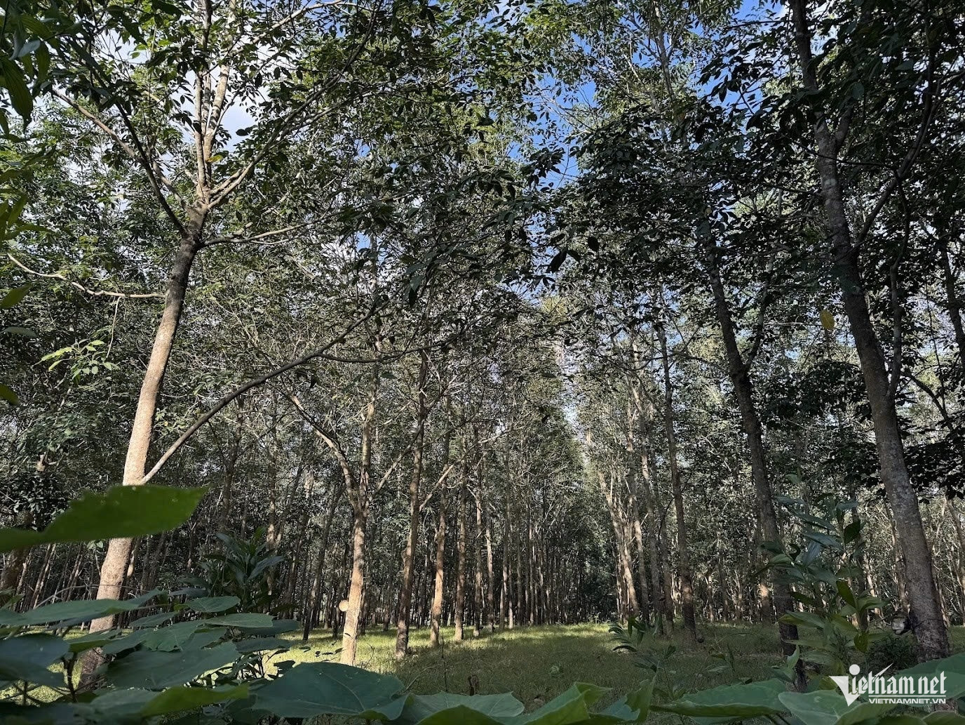 W-8. Tin Quảng Ngãi chủ động phòng cháy.jpg