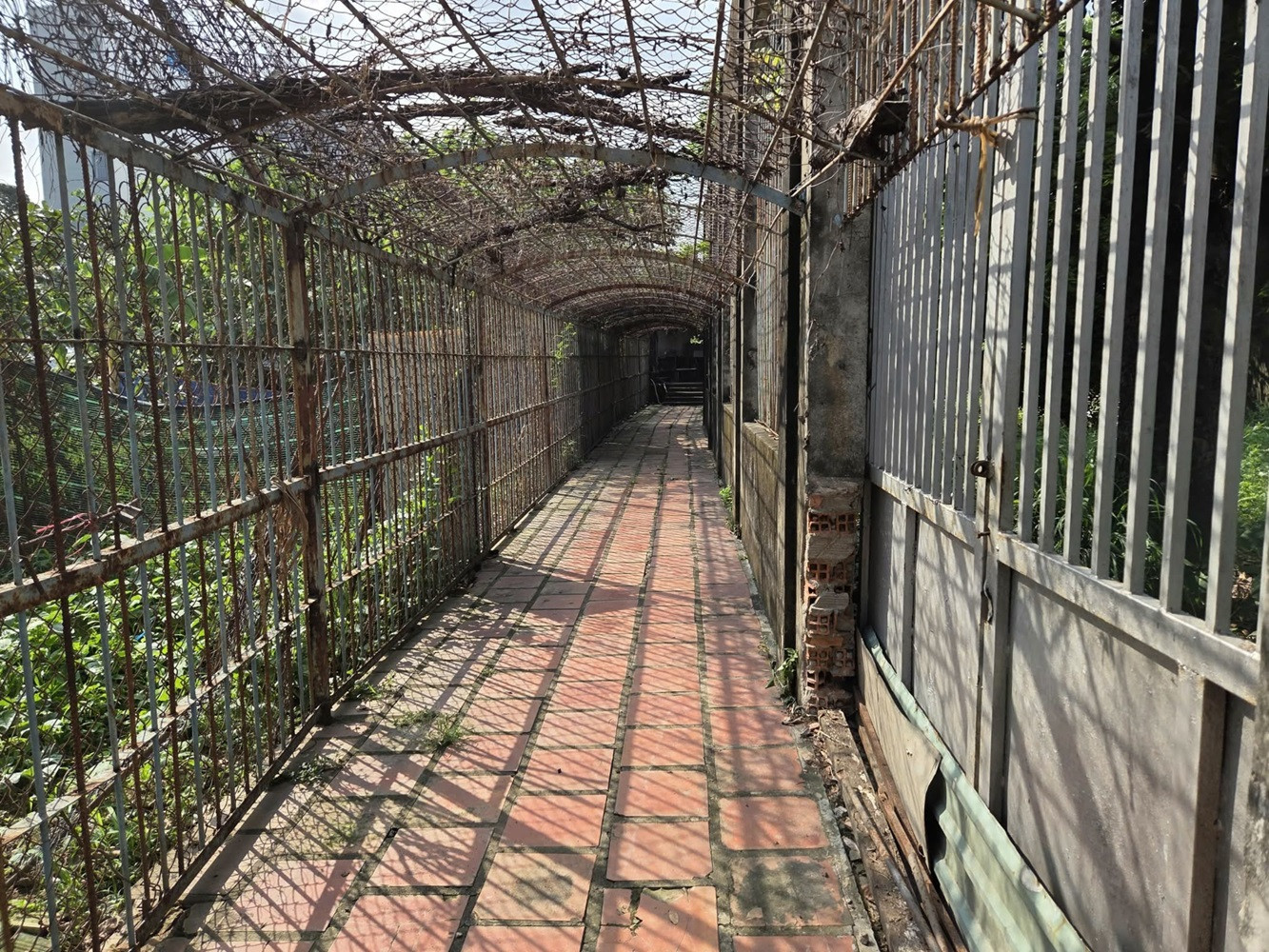 1b3c2b3a 9015 4a82 9835 376471a8e0d2.jpg