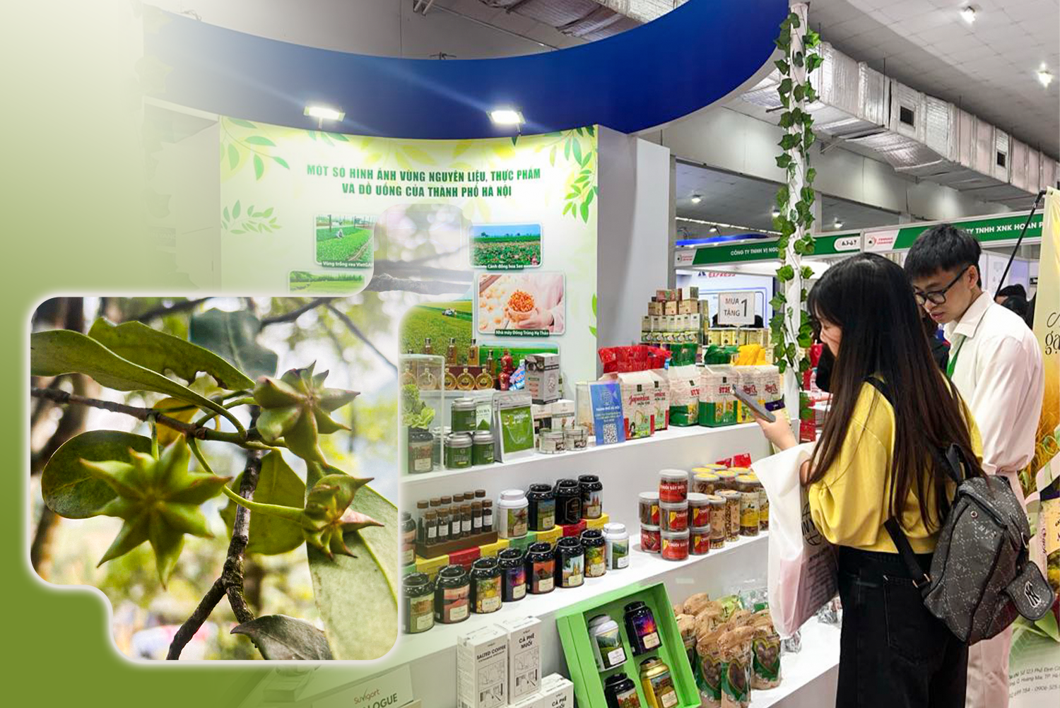 Vị thế mới của nông sản Việt trong chuỗi giá trị toàn cầu