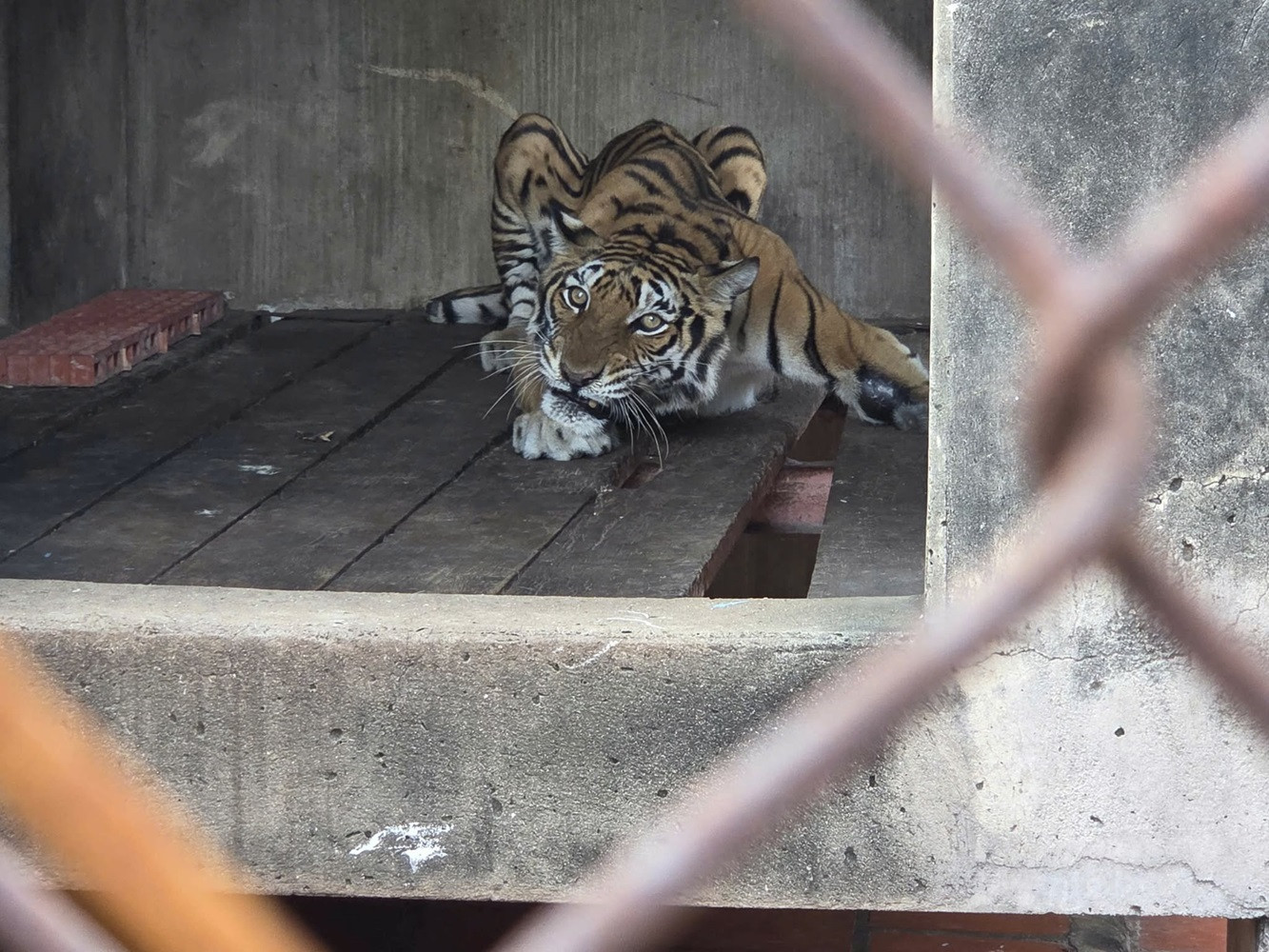 c8f4a87a 2f2c 4ba7 8bf1 28b366691c65.jpg