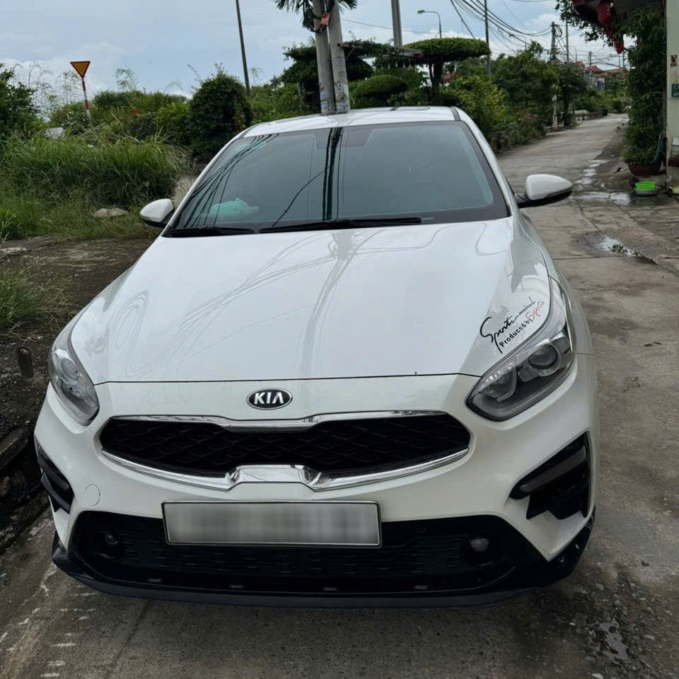 cerato scandal 1.jpg