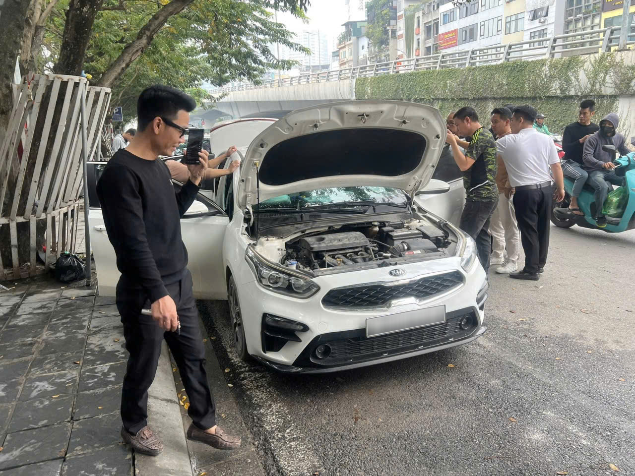 cerato scandal 2.jpg