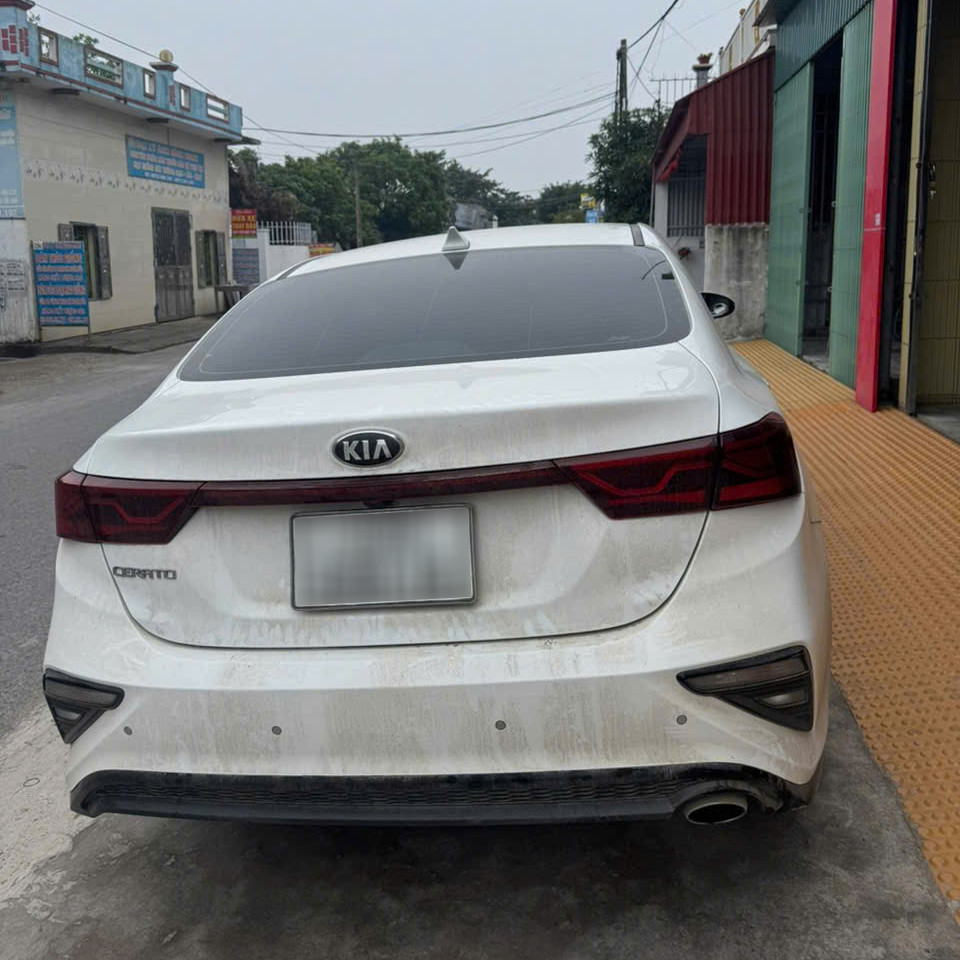 cerato scandal 5.jpg