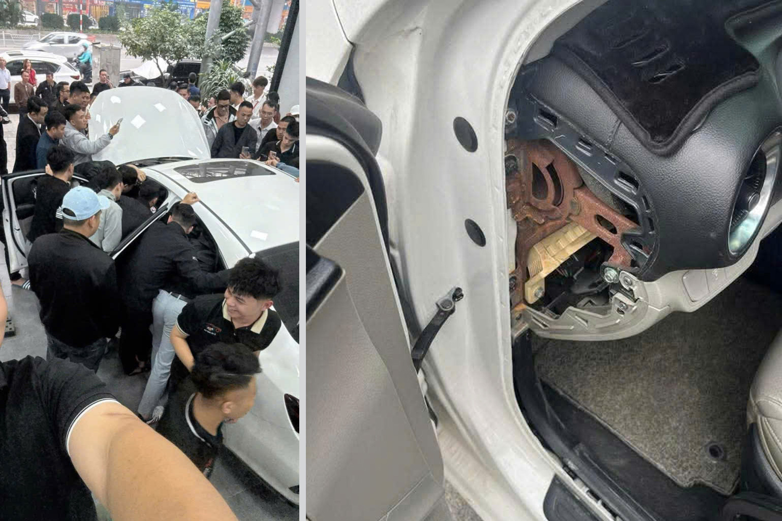 cerato scandal 7.jpg