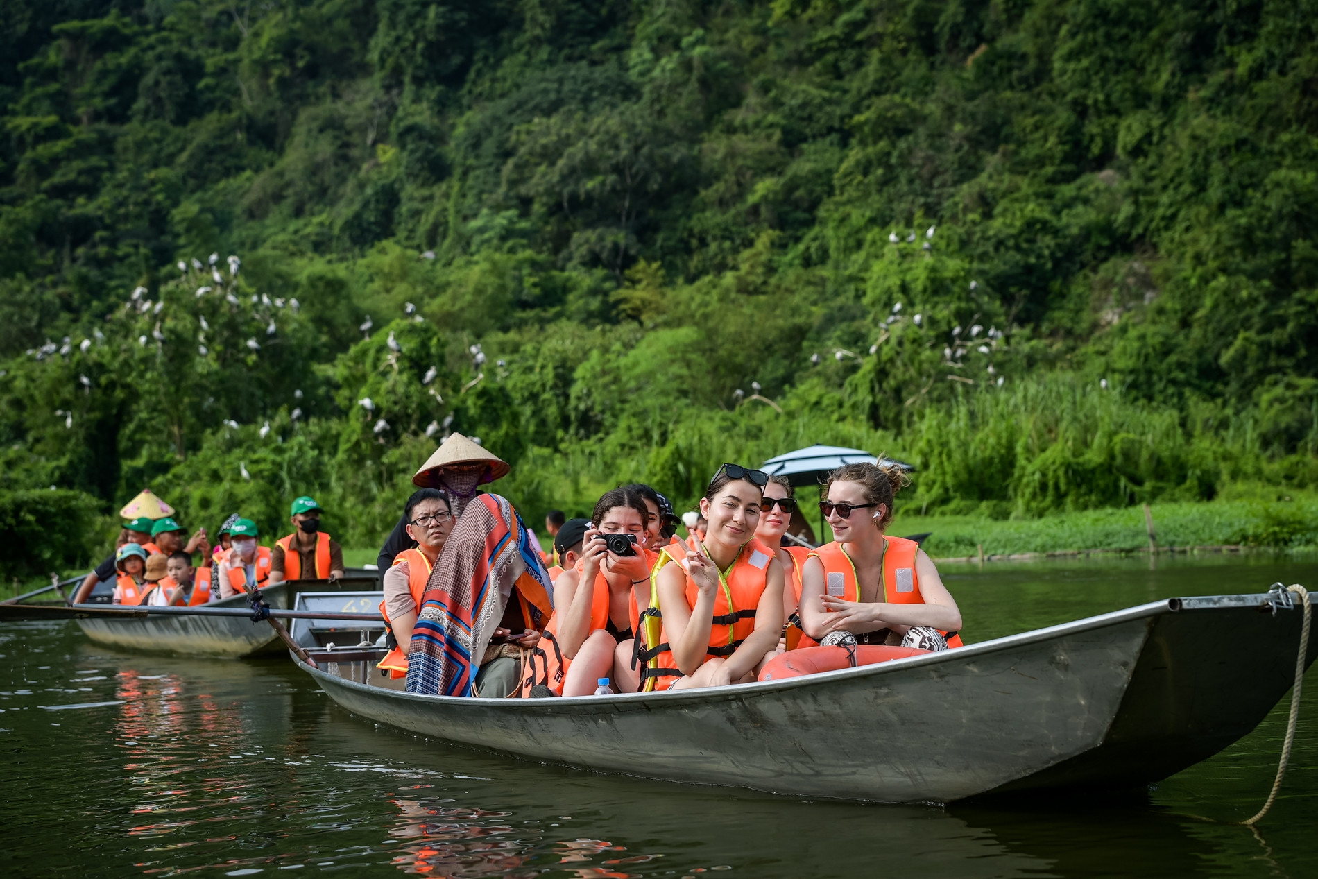 Mê hoặc khoảnh khắc hàng vạn chim hoang dã bay về tổ ở Ninh Bình