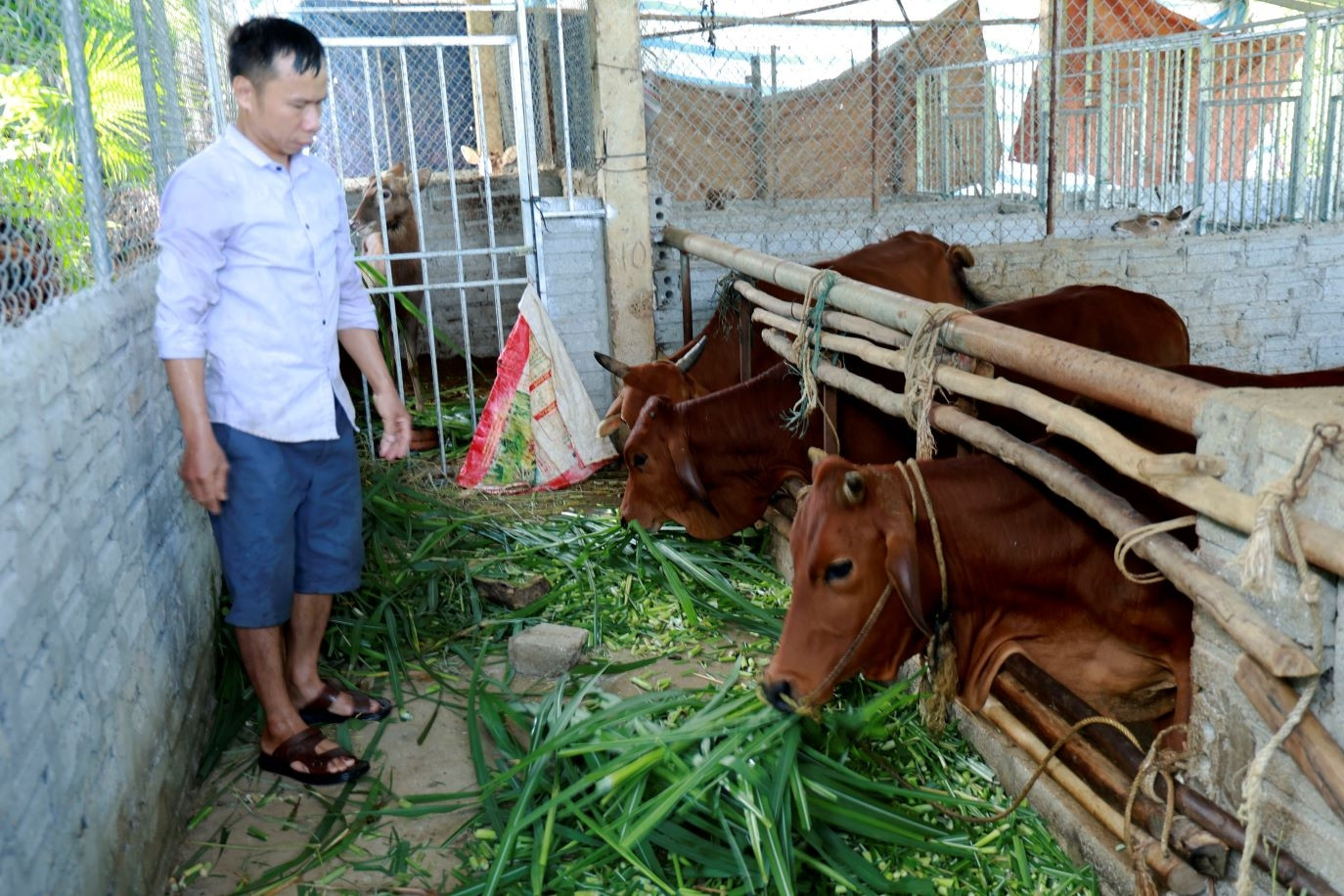 Nông dân Lào Cai khẳng định vai trò chủ thể trong xây dựng nông thôn mới