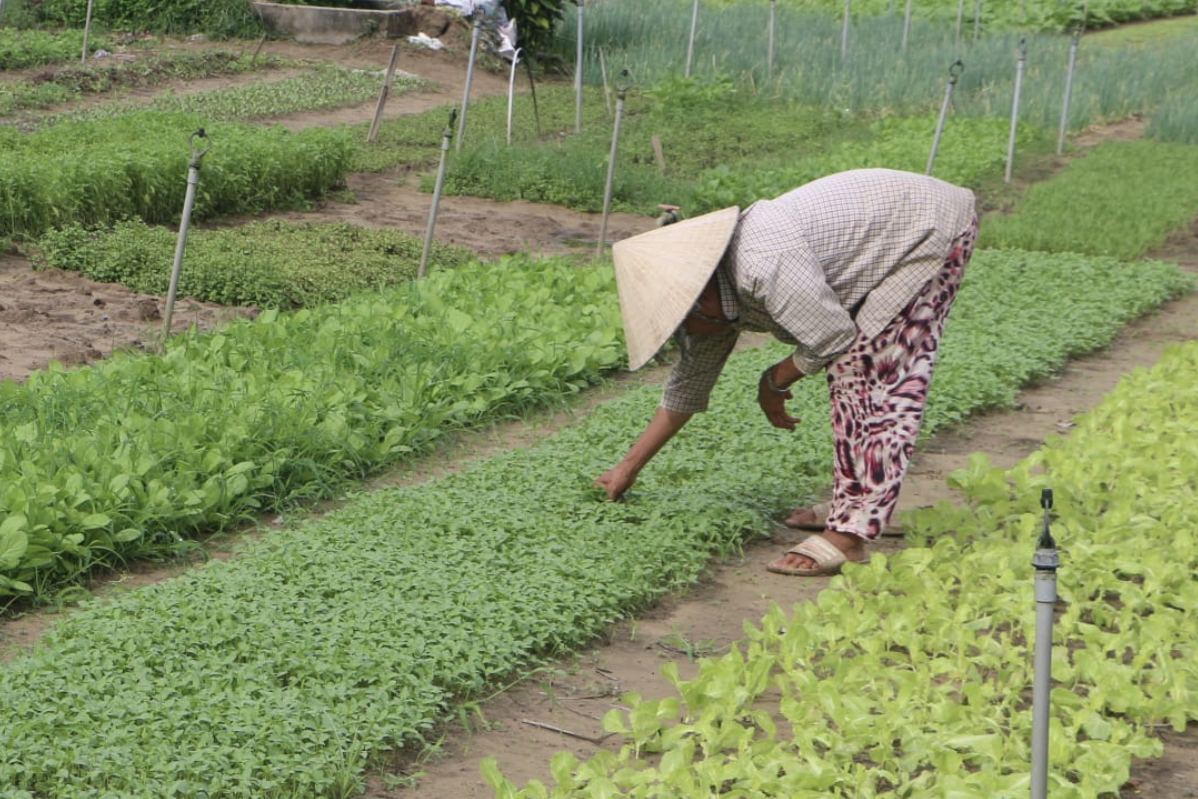 Nông dân Quảng Trị chung tay xây dựng nông thôn mới nâng cao, kiểu mẫu