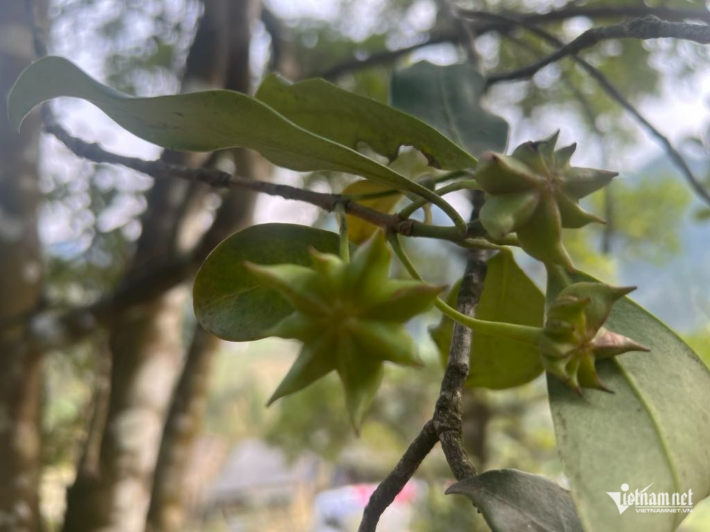 Box https://static-images.vnncdn.net/vps_images_publish/000001/000003/2025/12/15/w-anh-2-880.jpg