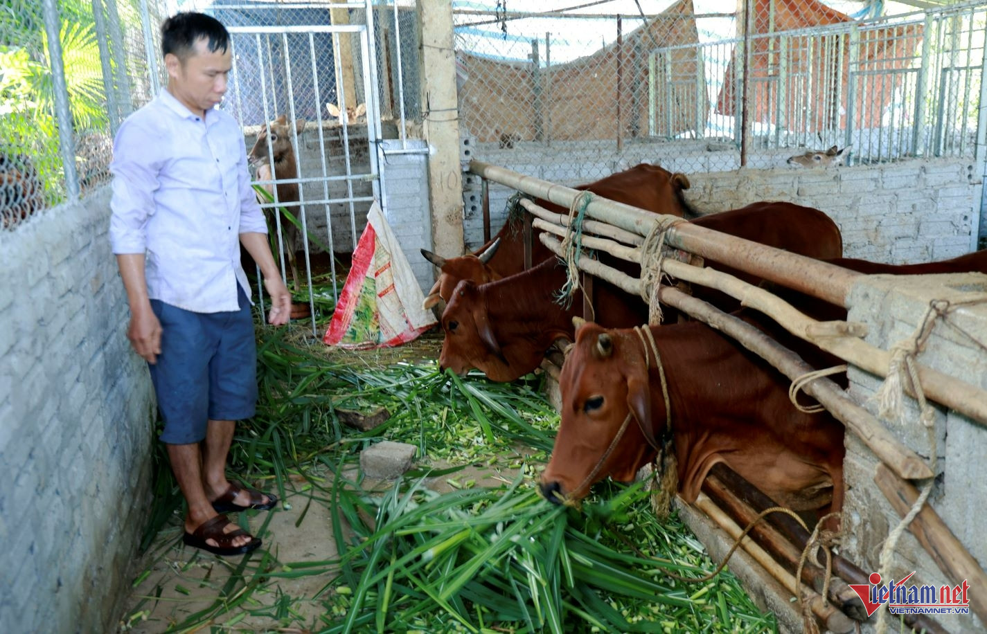 W-anh lao cai ok.JPG.jpg