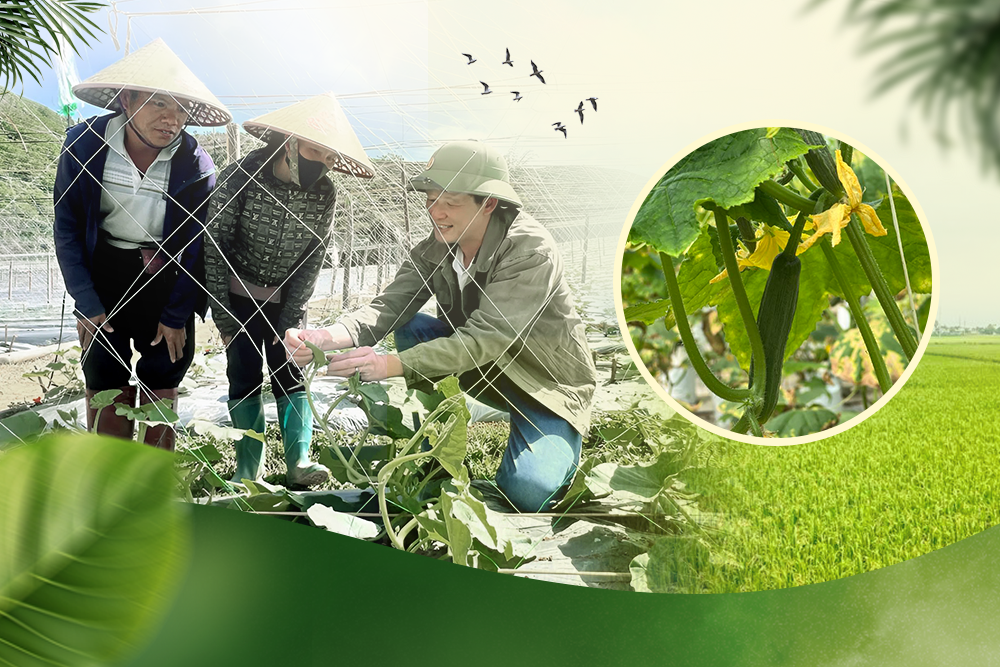 “Xương sống” của ngành trồng trọt trong giai đoạn mới