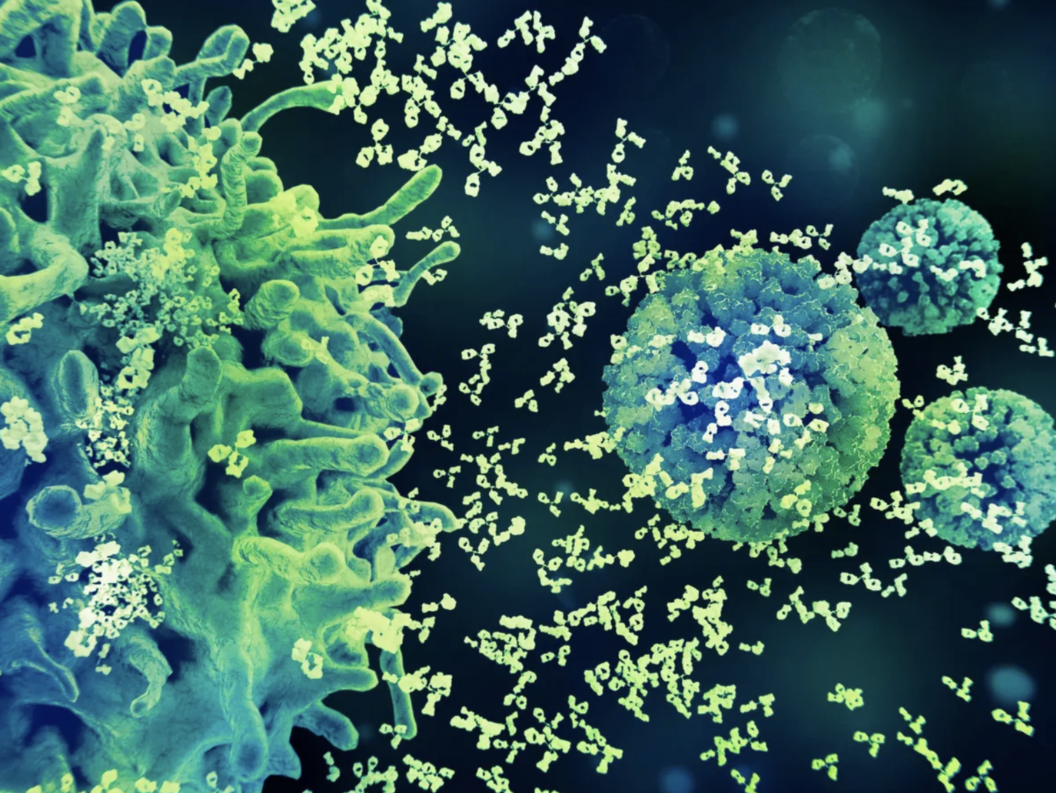 Ảnh màn hình 2025 12 16 lúc 10.55.02.png