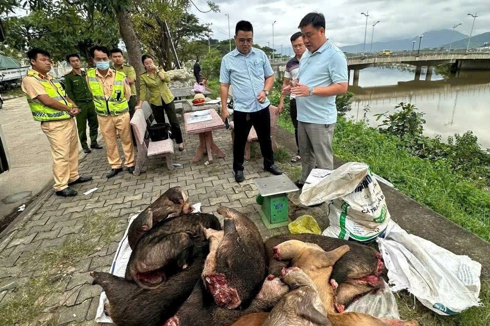 Cảnh sát phát hiện xe khách chở thịt đông lạnh nghi động vật quý hiếm