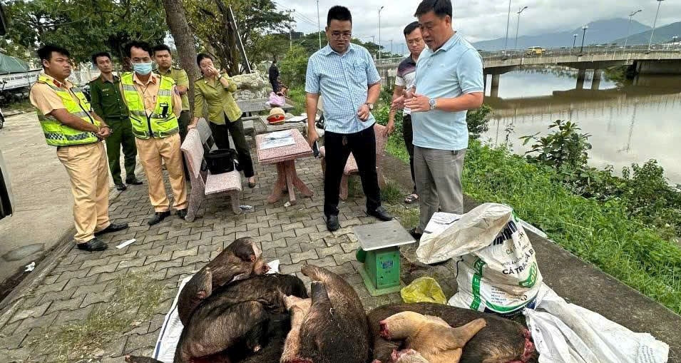 Cảnh sát phát hiện xe khách chở thịt đông lạnh nghi động vật quý hiếm