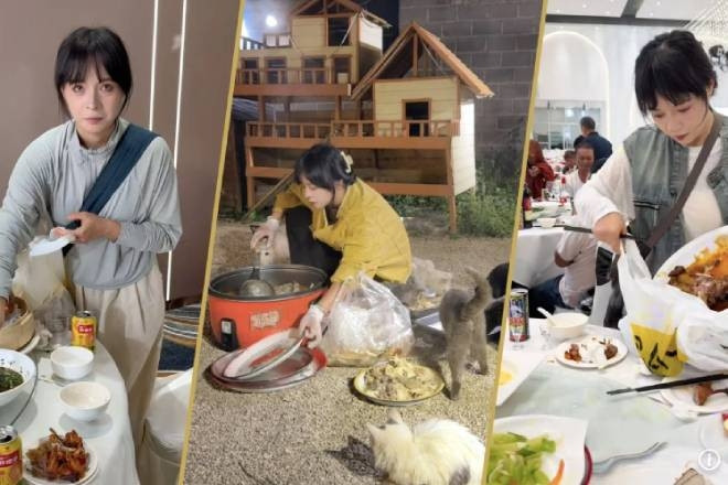  Cô gái đi ăn ké đám cưới suốt 3 năm, gom đồ thừa nuôi hơn 120 con mèo hoang 