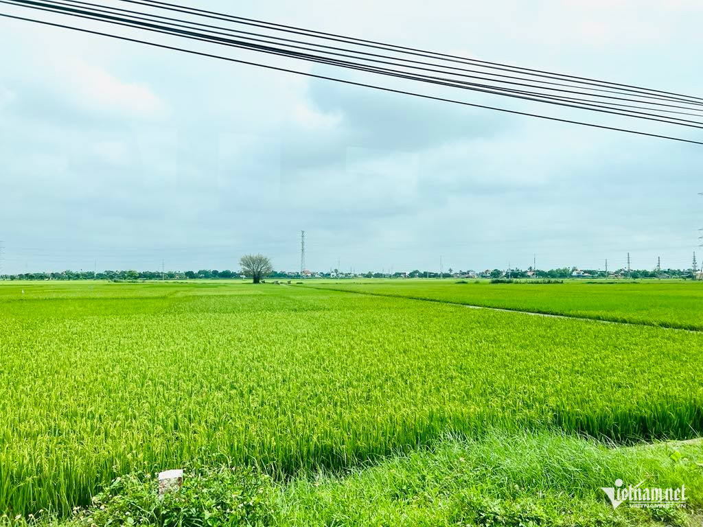 Box https://static-images.vnncdn.net/vps_images_publish/000001/000003/2025/12/16/w-anh-1-625.jpg