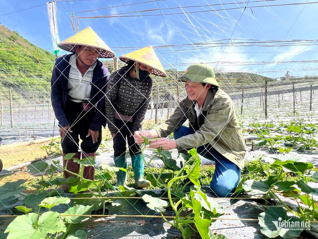 Box https://static-images.vnncdn.net/vps_images_publish/000001/000003/2025/12/16/w-anh-2-634.jpg