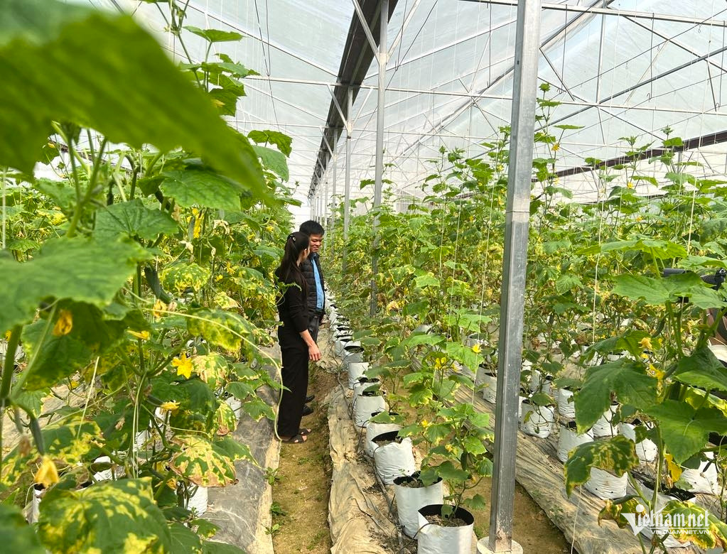 Box https://static-images.vnncdn.net/vps_images_publish/000001/000003/2025/12/16/w-anh-8-631.jpg