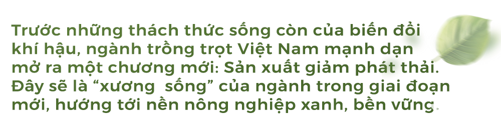W-sapo trong trot.png