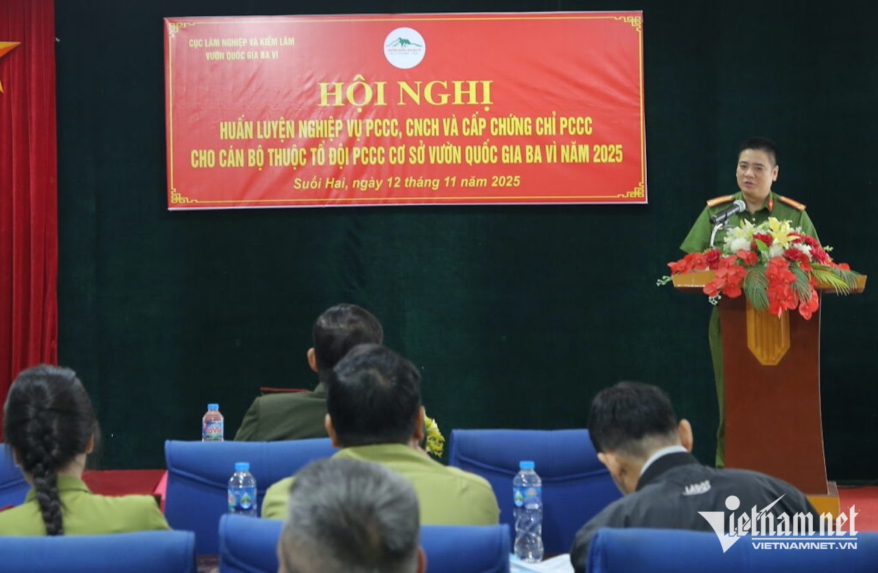 W-SON_6877 1536x1024.jpg