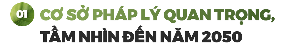 W-tit 1 trong trot.png