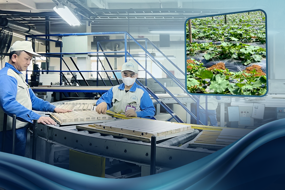 ESG và chuyển đổi xanh: Cơ hội bứt phá cho doanh nghiệp Việt “vươn ra biển lớn”