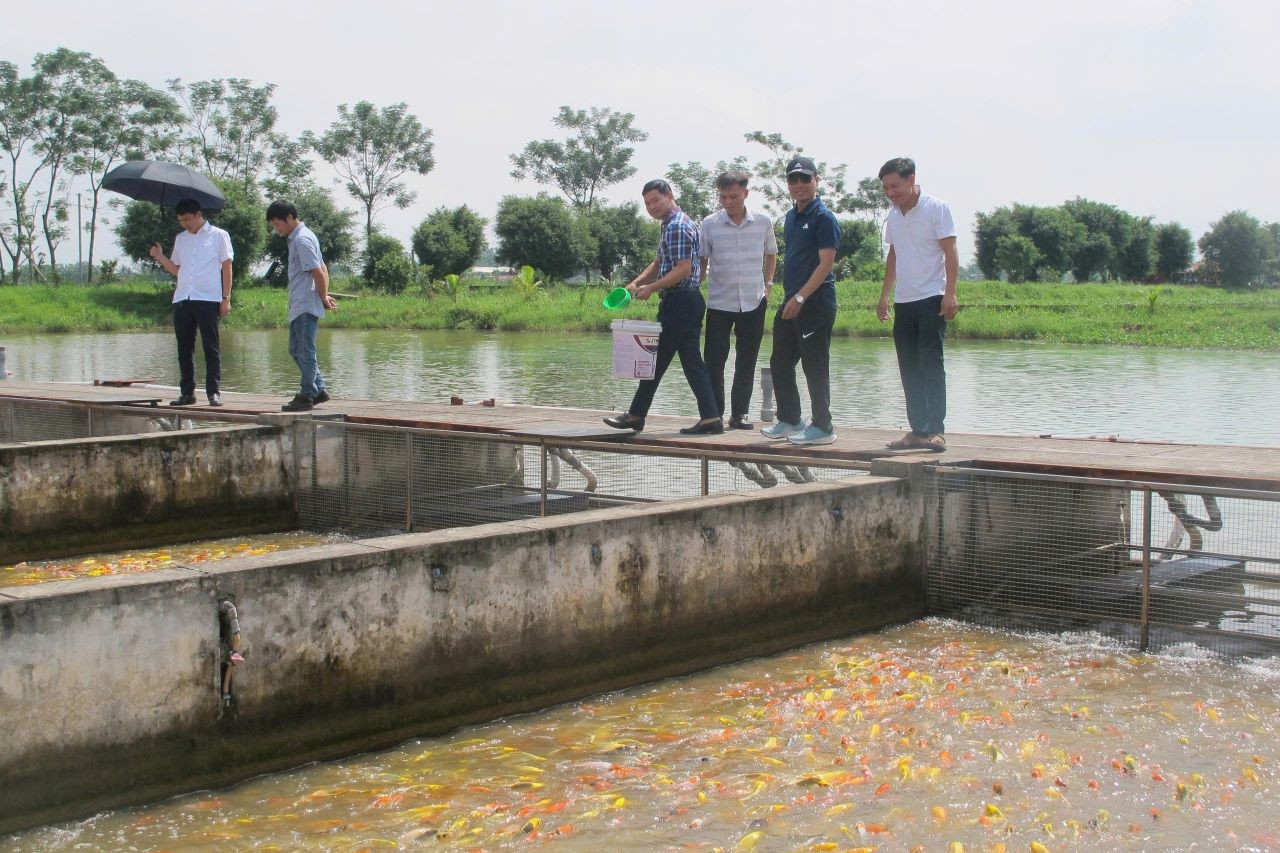 Phát huy sức mạnh toàn dân, Yên Sơn xây dựng nông thôn mới, đô thị văn minh