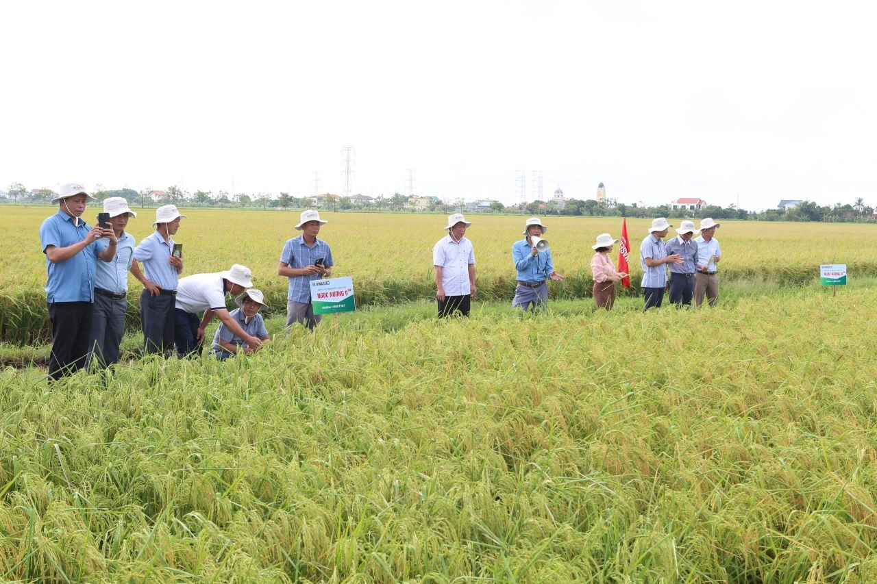 Phú Long: Từ thu nhập bền vững đến mục tiêu nông thôn mới nâng cao