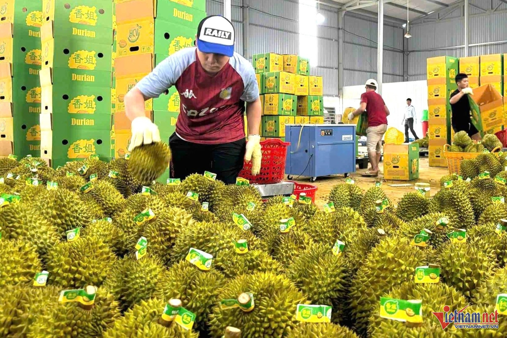 Rau quả Việt lội ngược dòng, lập kỷ lục gần 5 tỷ USD tại Trung Quốc