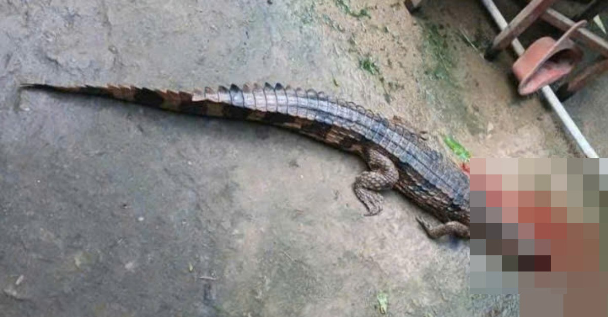 z7166555477207 a77642c58c6799b085fbda0507fbf289 1 1394 (1).jpg