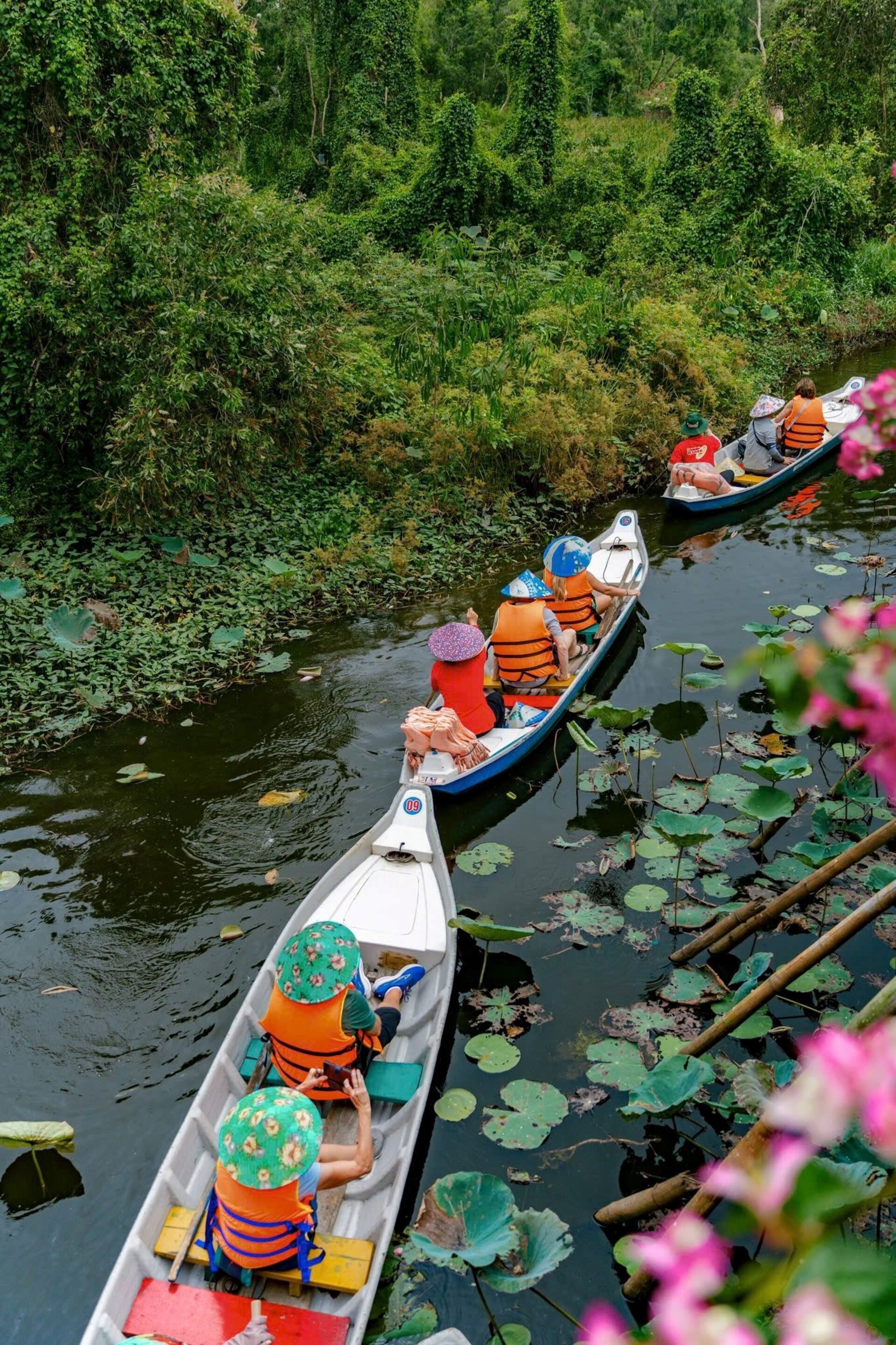 hinh2_Đưa du khách chiêm ngưỡng nét đẹp Trà Sư.jpg