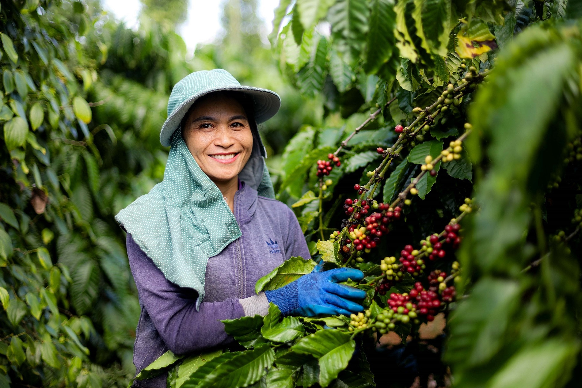 Kinh tế tuần hoàn - Động lực cho chuyển đổi xanh ở Việt Nam