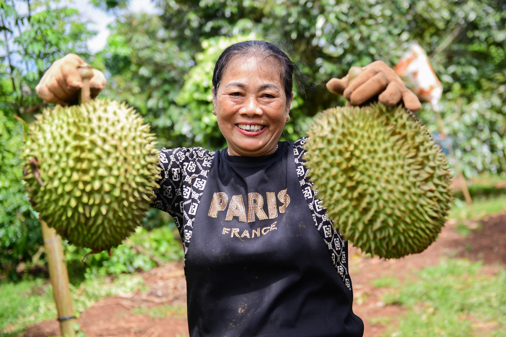 Nâng quy mô chương trình tín dụng nông, lâm, thuỷ sản lên 185.000 tỷ đồng