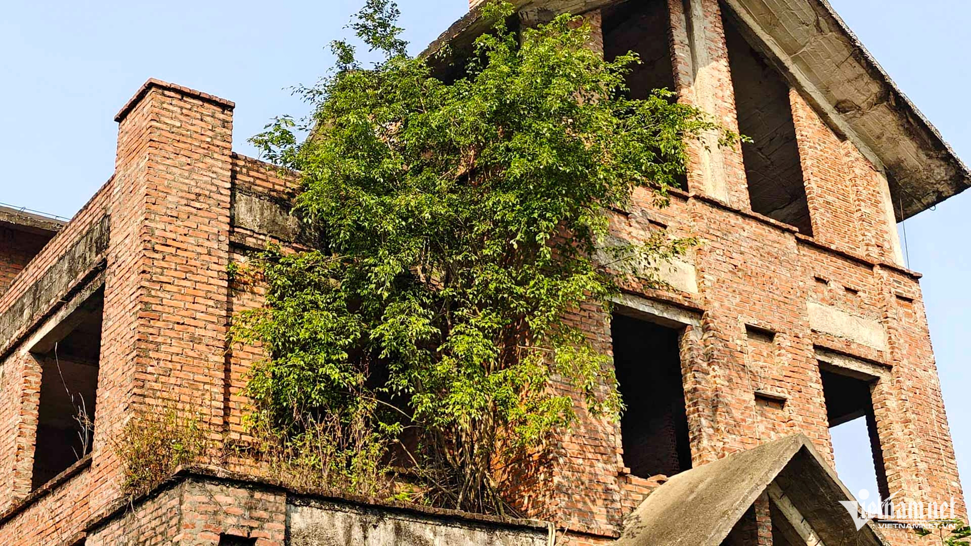 W-Biệt thự bỏ hoang bắc ninh_14.JPG.jpg
