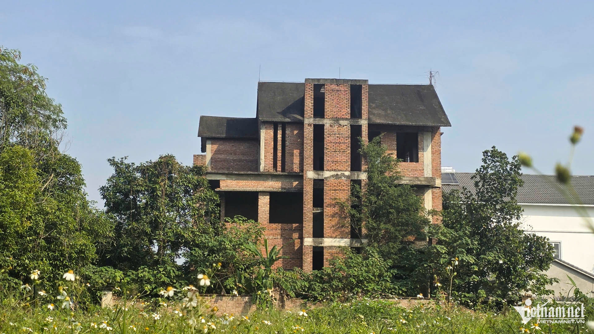 W-Biệt thự bỏ hoang bắc ninh_15.JPG.jpg