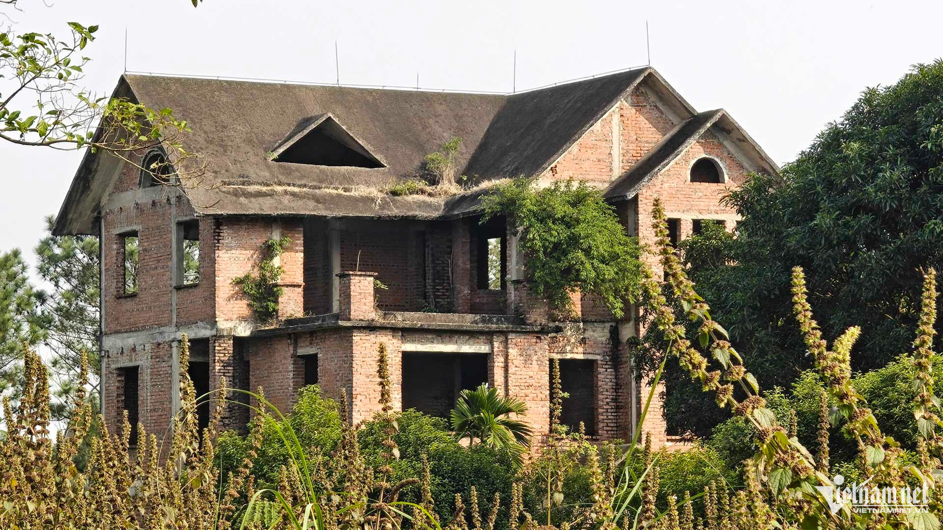 W-Biệt thự bỏ hoang  bắc ninh_16.JPG.jpg