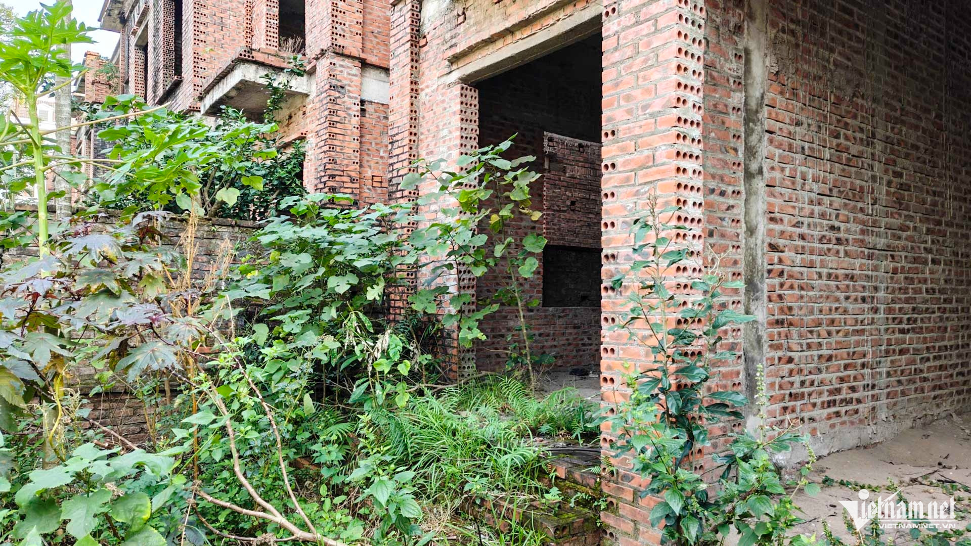 W-Biệt thự bỏ hoang  bắc ninh_18.JPG.jpg