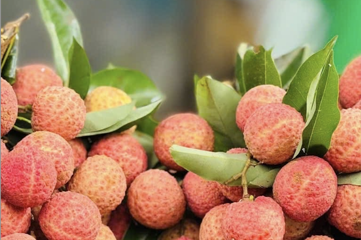 Nông sản Việt: Chuẩn hóa chuỗi cung ứng, đầu tư vào truy xuất minh bạch