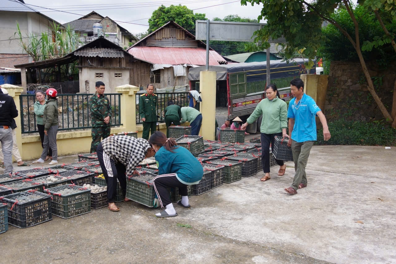 Thực hiện “3 bám, 4 cùng, 5 có” để hỗ trợ đồng bào biên giới