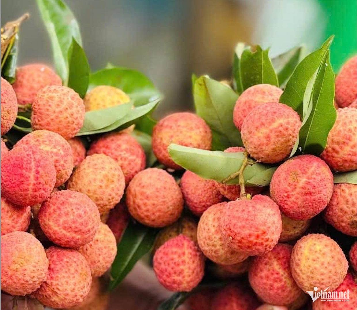 W-nông sản Việt.png