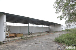 a ngoc linh3jpg 1762.jpg