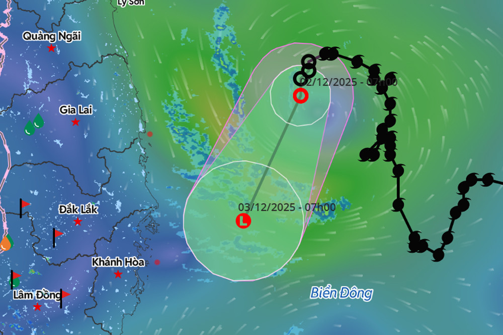 ap thap tu bao so 15.jpg