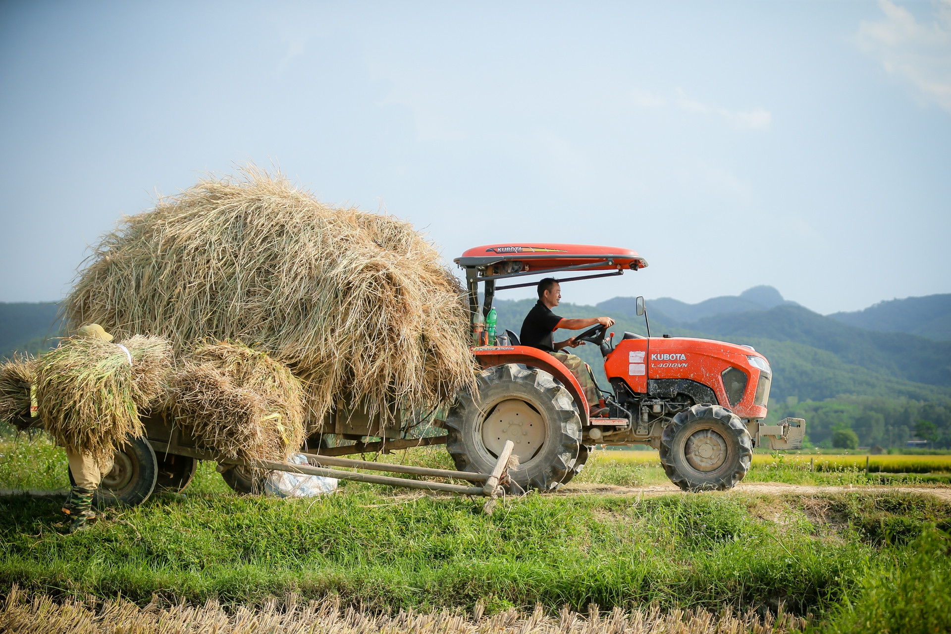 Bộ Chính trị: Đến 2030 có doanh nghiệp nông nghiệp dẫn đầu khu vực, thế giới