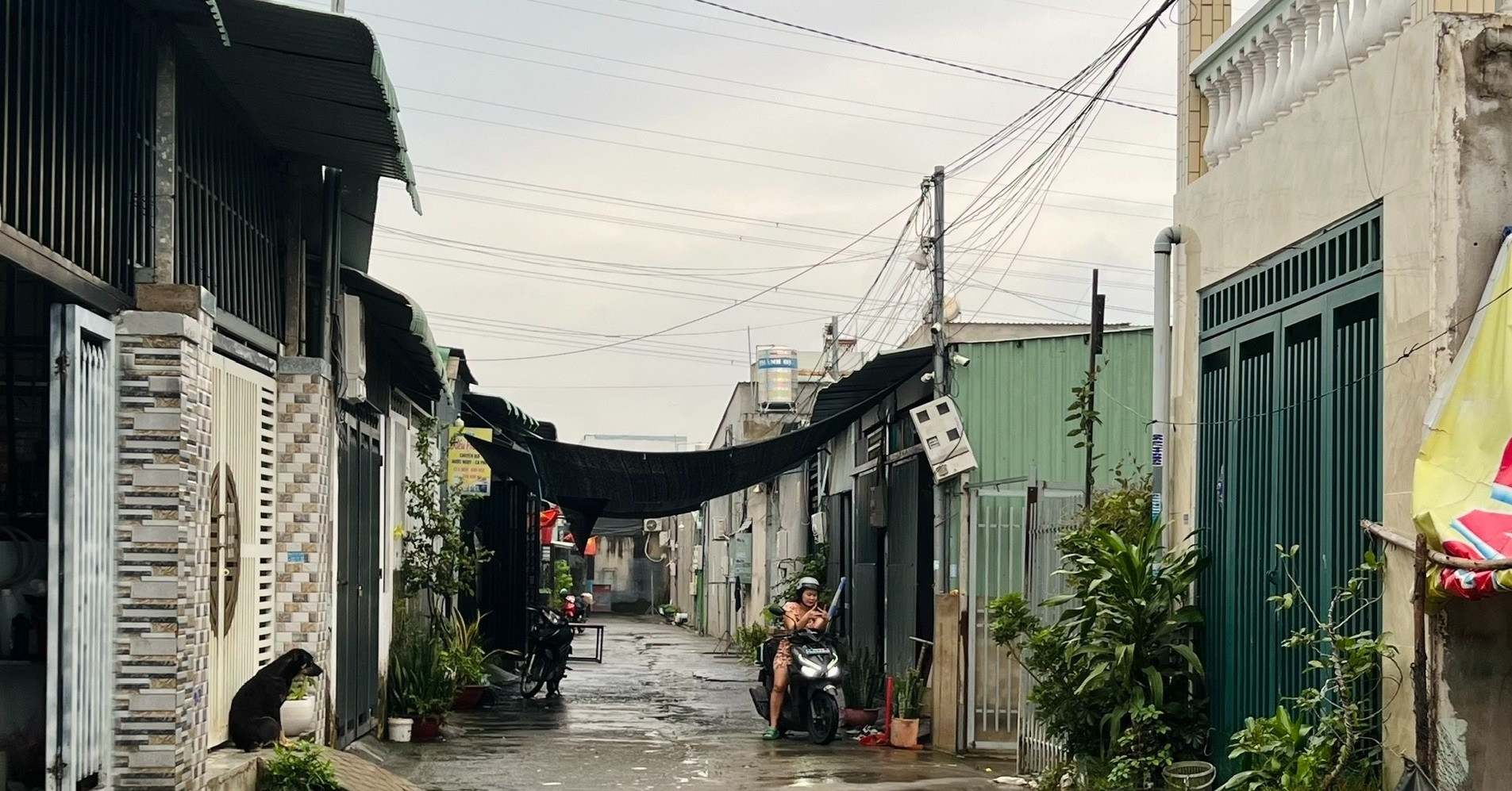 Diễn biến tố tụng mới nhất vụ xây nhà trên đất người khác rồi rao bán